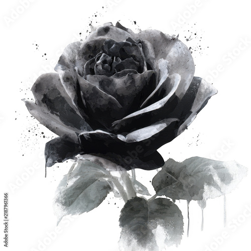 Monochrome watercolor rose with dripping paint effects, isolated on a solid black background, detailed floral