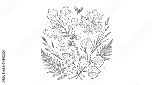 Detailed botanical line art illustration: a composition of oak leaves, maple leaves, ferns, and acorns. Perfect for creating elegant invitations, nature-themed prints, textile patterns, and wall art.