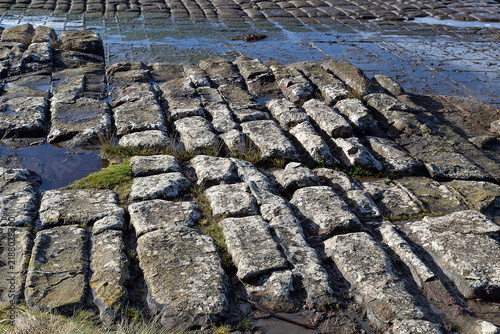 Tessellated pavement at Eaglehawk Neck, Tasmania, illustrating the loaf formation of tessellation
