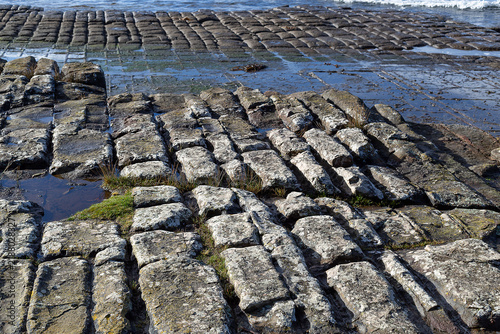 Tessellated pavement at Eaglehawk Neck, Tasmania, illustrating the loaf formation of tessellation