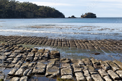 Tessellated pavement at Eaglehawk Neck, Tasmania, illustrating the loaf formation of tessellation