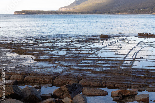 Tessellated pavement at Eaglehawk Neck, Tasmania, illustrating the pan formation of tessellation