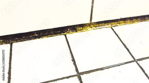 Silicone with mold in the bathroom.
