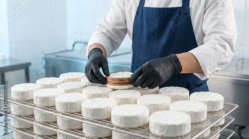 Cheesemaker in Gloves Packaging Soft Camembert Cheese Wheels on Metal Racks – Dairy Production