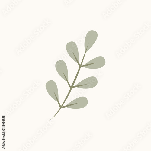 Minimalist aesthetic green branch with leaves isolated on beige background. Delicate botanical element in modern pastel colors for greeting cards, invitations, and posters.