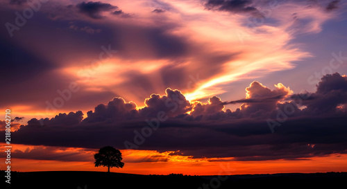 Silhouette of single deciduous tree stands on hill under dramatic orange sunset sky