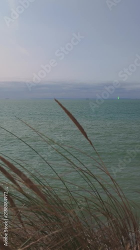 Calm sea view with beach grass swaying in the wind on a coastal dune. Vertical footage.