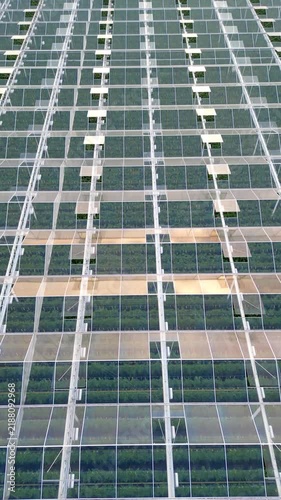 Aerial footage of a modern greenhouse complex. Top-down view of industrial farming, showcasing agritech and sustainable food production.