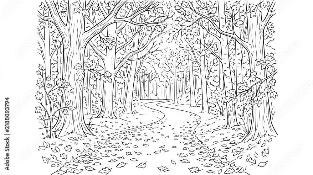 Obraz premium Black and white line art of a forest path