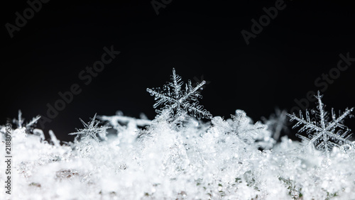 snowflakes, winter card, crystals of snow