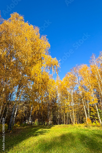 Golden autumn colors light up the countryside among old wooden houses and ancient churches in Ukraine, creating a warm nostalgic atmosphere.