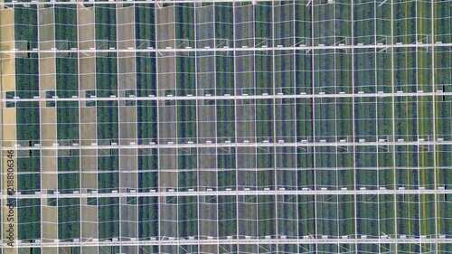 Aerial top-down drone footage flying over a large industrial greenhouse, revealing rows of green plants and modern agricultural technology.