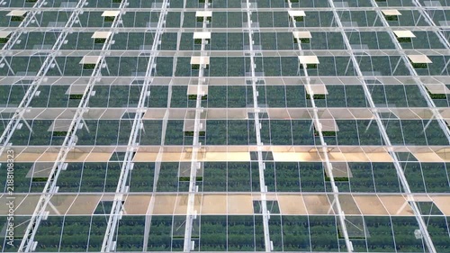 Aerial flyover of a large modern greenhouse showcasing sustainable agriculture and food production technology.