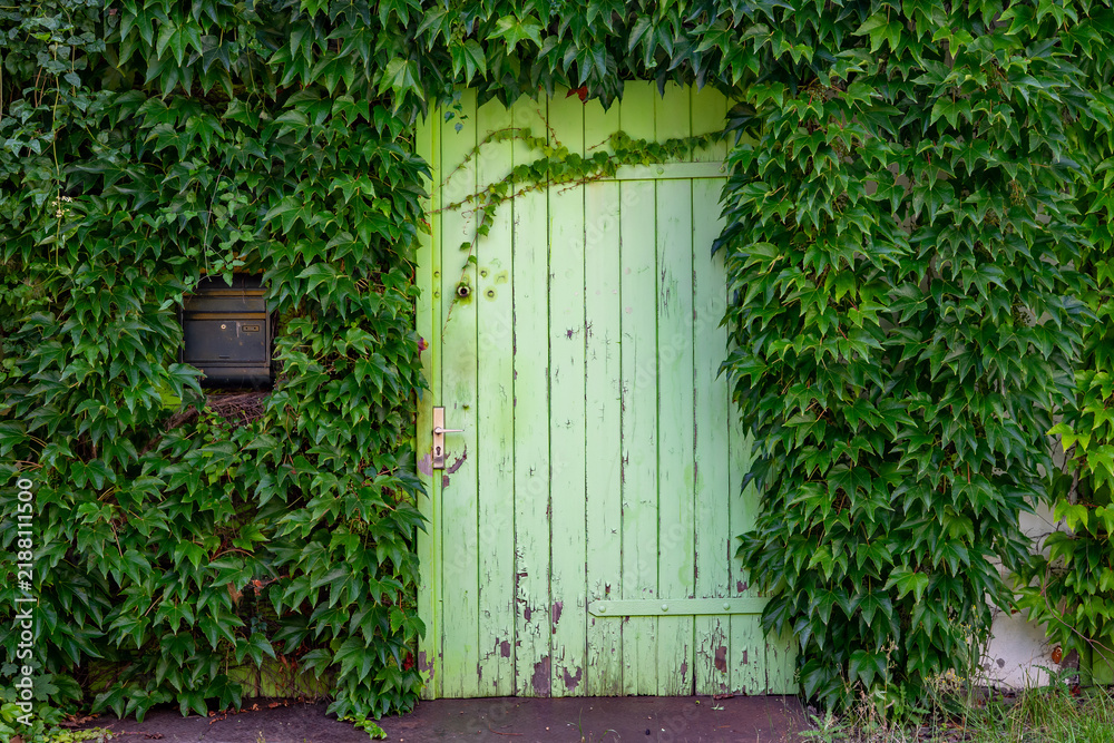 Obraz premium Old Green Door with Ivy – Surreal Abstract Art