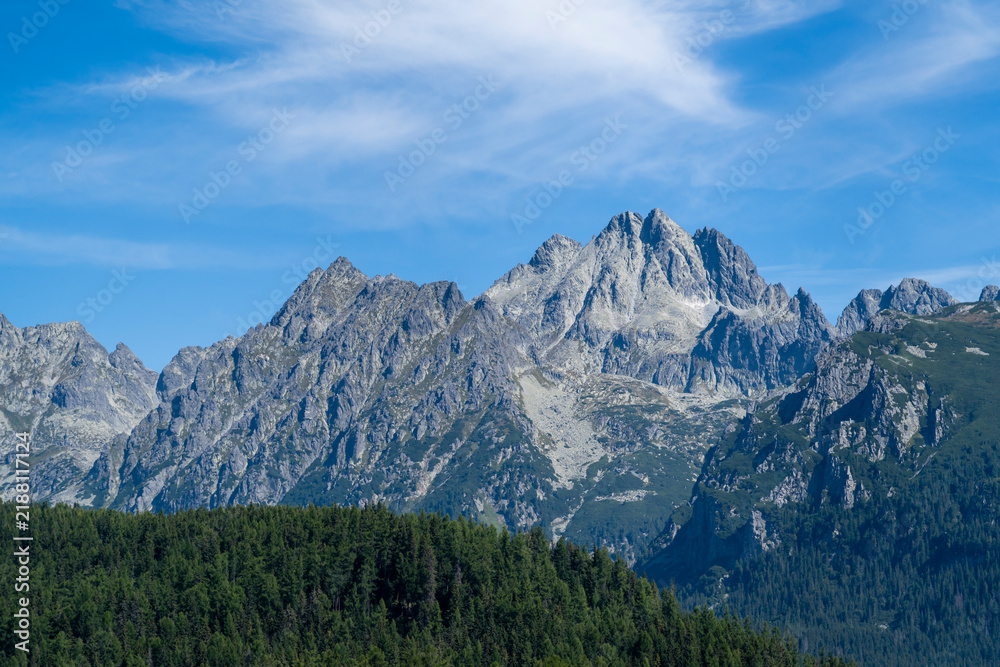 Fototapeta premium A landscape of mountains and forests covering the slopes and valleys.