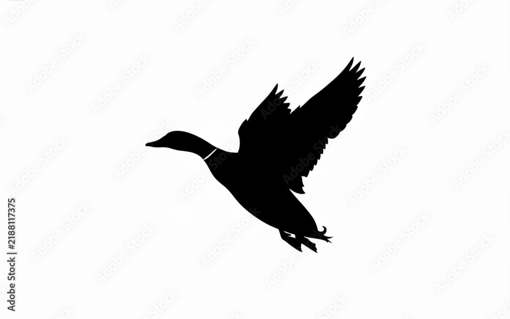 Fototapeta premium Silhouette of Flying Bird with Spread Wings Isolated on White Background for Wildlife and Nature Design