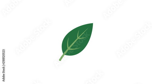 Green leaf vector icon isolated on white background
