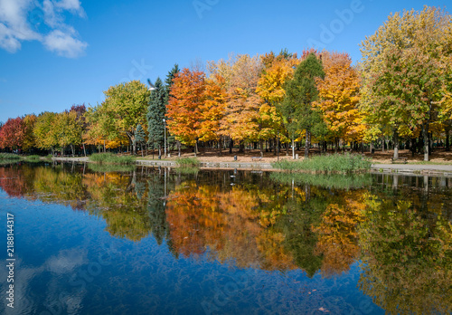 Autumn colorful trees and cotton clouds reflected on Beaver Lake, Mount Royal, Montreal, Quebec, Canada