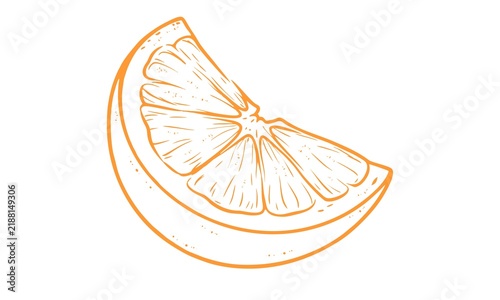 Orange drawing, a slice. Vintage sketch. Orange outline.