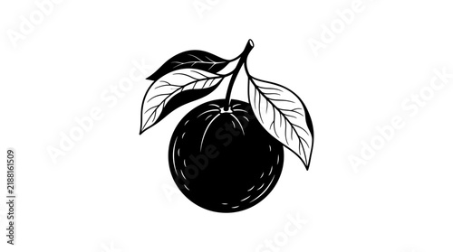 Stylized black silhouette and line art of an orange fruit with leaves