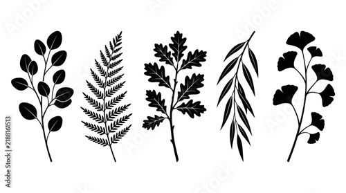 Minimalist black and white leafy branches vector set with five unique leaf shapes
