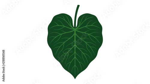 Single large heart shaped dark green tropical leaf illustration