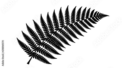Black silhouette of a pinnate fern leaf