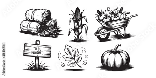 Autumn Harvest and Thanksgiving Farm Elements Featuring Pumpkins Corn and Hay Bales, vintage engraving illustration Vector Design and Illustration