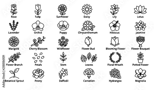 High-Quality Nature Flower Vector Icon Collection with Editable Stroke for Professional and Creative Projects