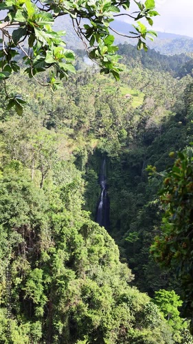 Verdant tropical valley holds slender waterfall inside dense forest, with layered hills and overhanging leaves in foreground. Tropical valley feels quiet as sunlight washes treetops and steep ravine.