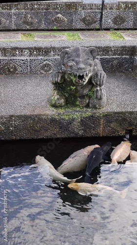 Several water birds gather beside paved stonework as urban wildlife. Each bird paddles through reflective water, with dark and pale plumage contrasting against sculptural surroundings.