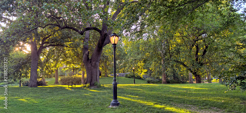 Central Park summer