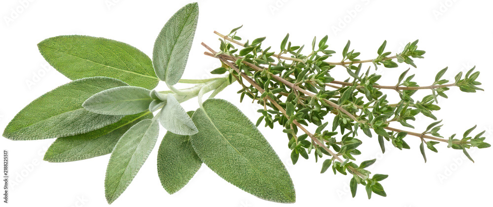 Fototapeta premium Fresh sage and thyme herbs on black background.