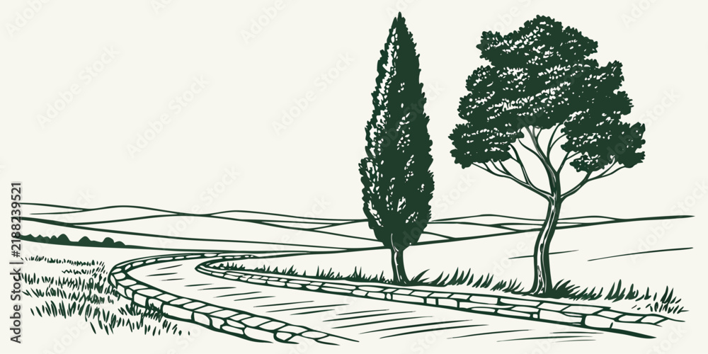 Obraz premium Line art illustration of a cypress and deciduous tree along a stone paved country path with country road