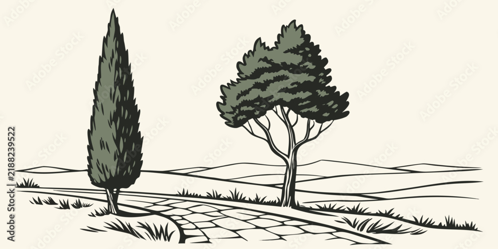 Obraz premium Graphic illustration of a cypress tree and a leafy tree bordering a cobblestone path with stone walkway