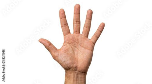 Human hand with outstretched fingers displaying the number five gesture captured in high resolution focus on transparent background