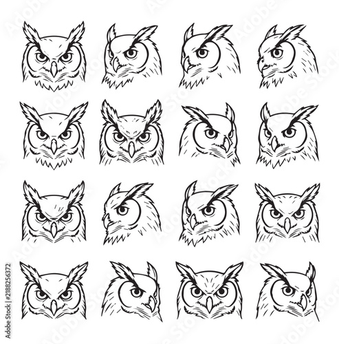 Collection of owl head sketches with varied expressions and perspectives in a clean graphic style