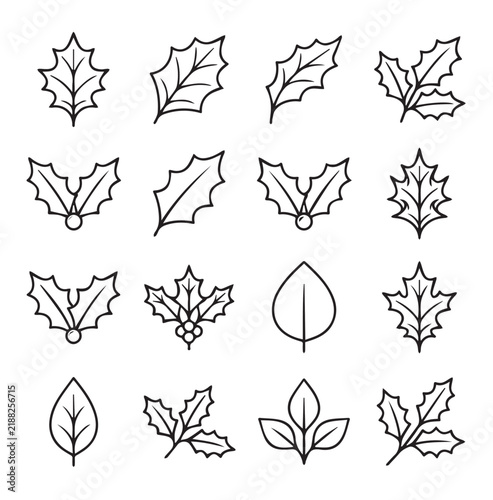 Collection of simple line art botanical illustrations including holly leaves and branches