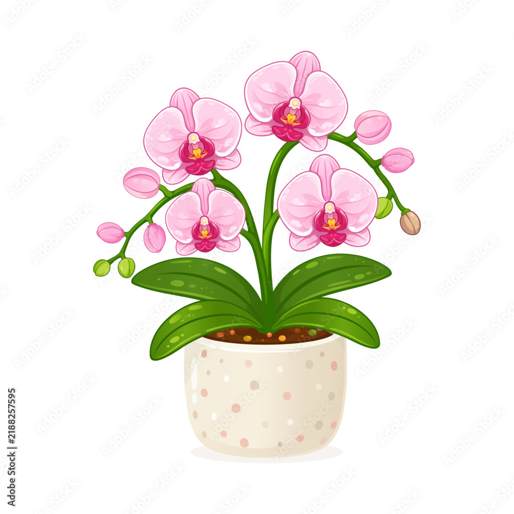Obraz premium Cute pink orchid houseplant illustration