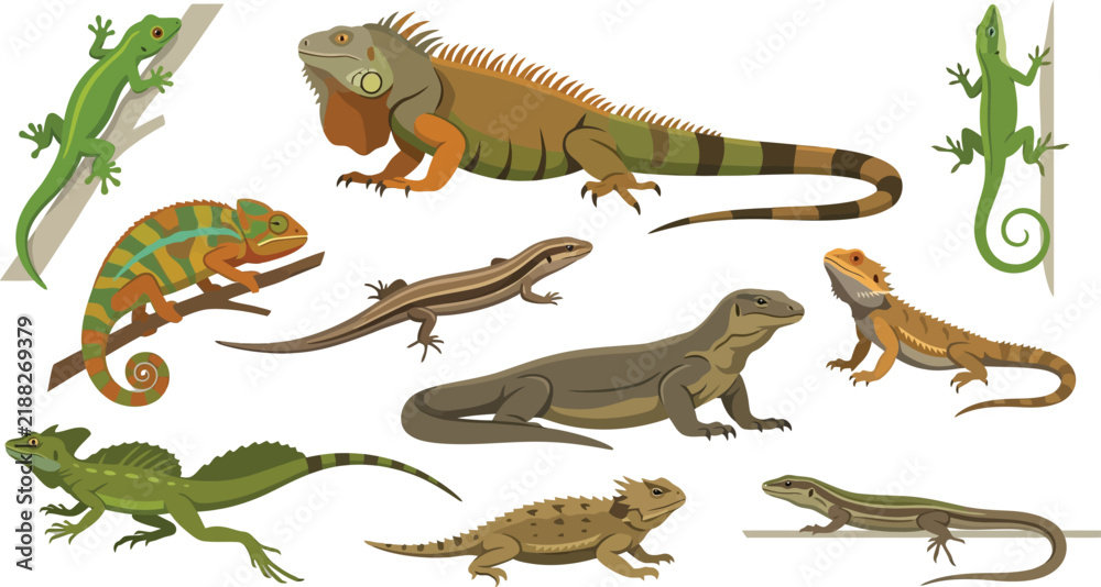 Obraz premium Diverse Lizard Collection with Various Poses and Backgrounds Vector Illustration