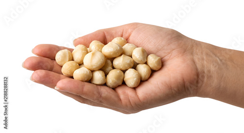 Foto Hand holding peeled raw macadamia nuts on transparent background