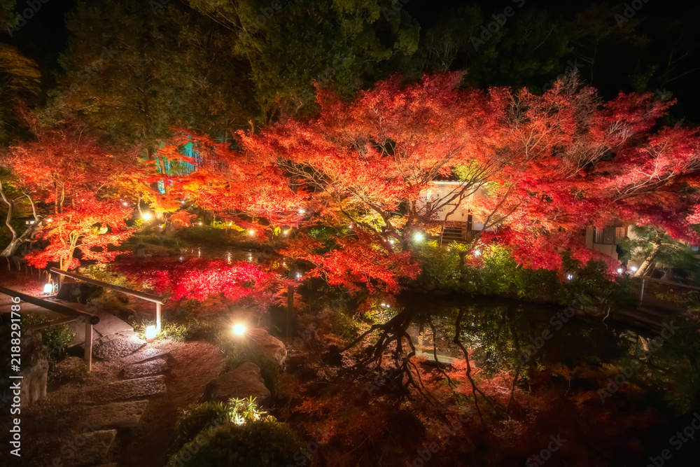 Obraz premium Garden route of Kurodani Konkai Komyoji autumn leaf light up, Kyoto