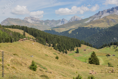 Landscape / mountain range of Swiss Alps at Arosa, Switzerland