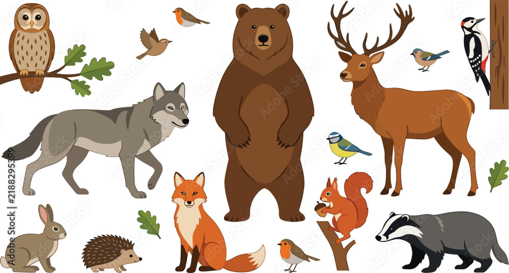Obraz premium Woodland animals in a clean vector illustration with natural elements for children's book design