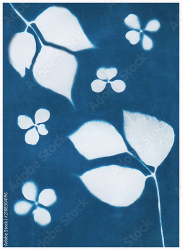 Tree leaves in blue print background. Cyanotype illustration. Autumn ornament