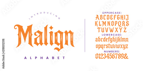 Malign Alphabet Classic Vintage Serif Font for Antique Brand Identity