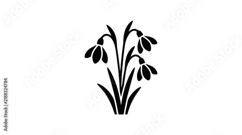 Vector illustration of snowdrop flowers spring floral icon on a transparent background