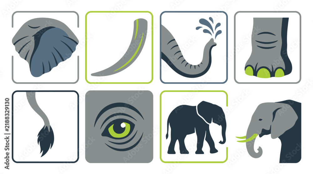 Fototapeta premium Collection of stylized illustrations depicting various parts and full figures of elephants, showcasing their ears, tusks, trunks, feet, tails, eyes, and silhouettes.