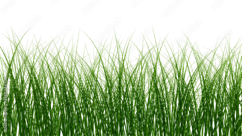 Fototapeta premium Lush green grass blades detailed and vibrant, isolated on transparent background