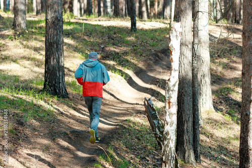 Summer Evening Trail Run Through Dappled Forest Light